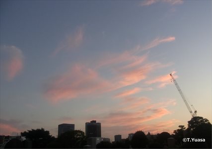KNF̉_