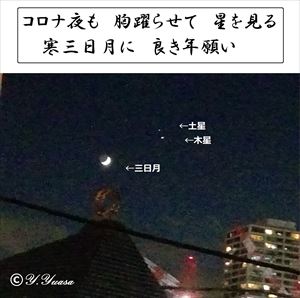 ߘaQN1217̖