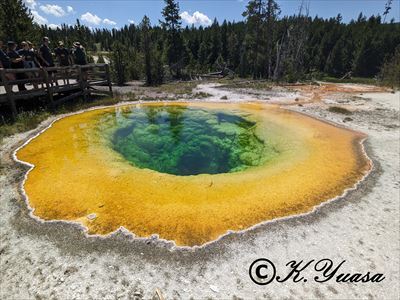 uMorning Glory Poolv(CG[Xg[EUSA)