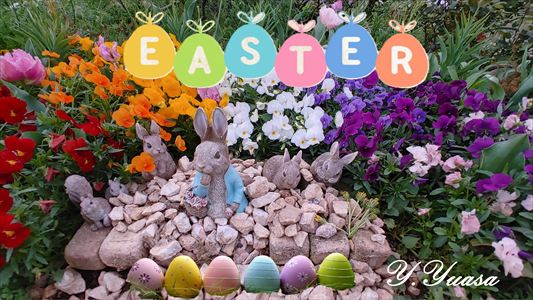 Easter Egg Huntv/ ŌE`
